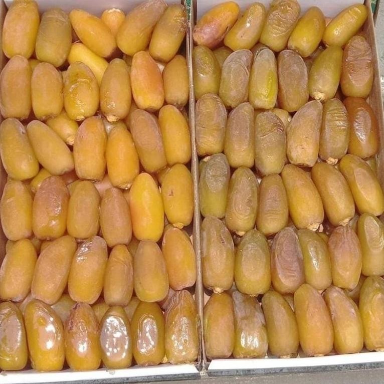 

Kurma Ruthob Libya 1 Kg-Ruthob Libya 1 Kg Terbaru