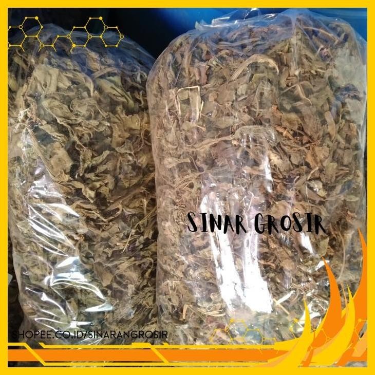 

DAUN DEWA KERING 250GR PREMIUM