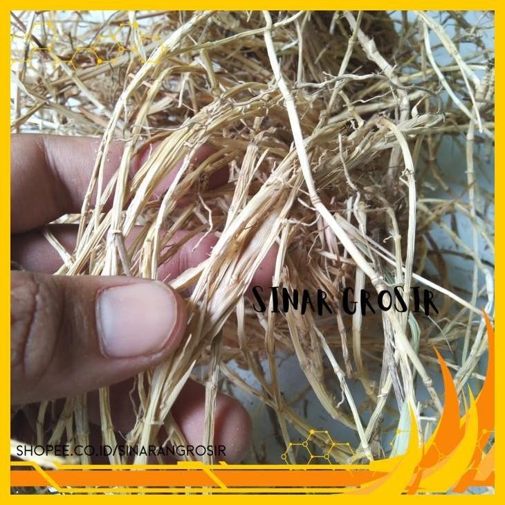 

AKAR ALANG ALANG KERING 500GR GRADE BAGUS