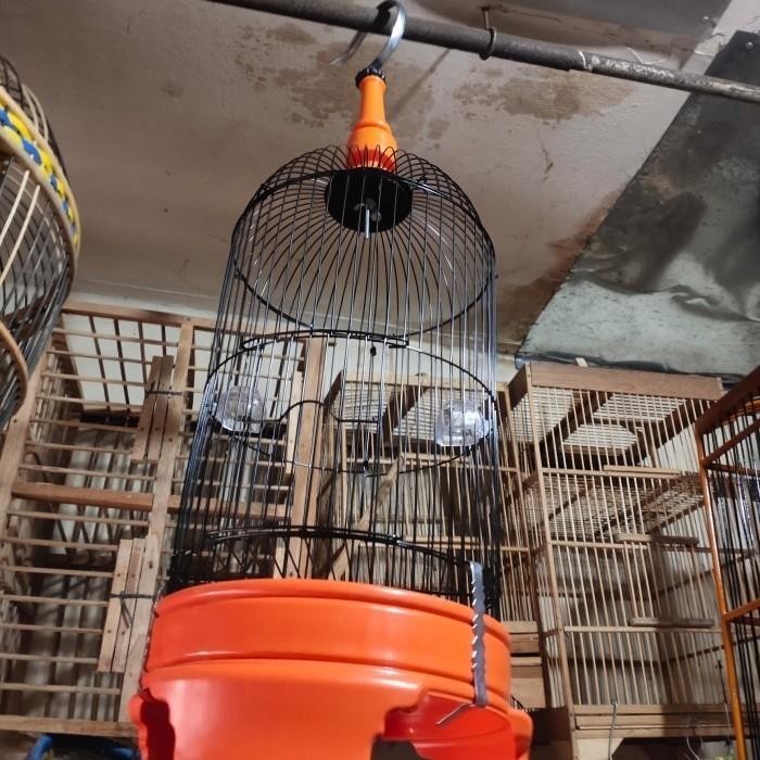 TERBARU  SANGKAR PLECI BESI TEBOK KAKI SIAP PAKAI SUDAH KOMPLIT