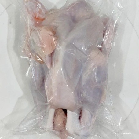 

Fresh Ayam Pejantan Segar Potongan Baru Setiap Hari -Gratisongkir