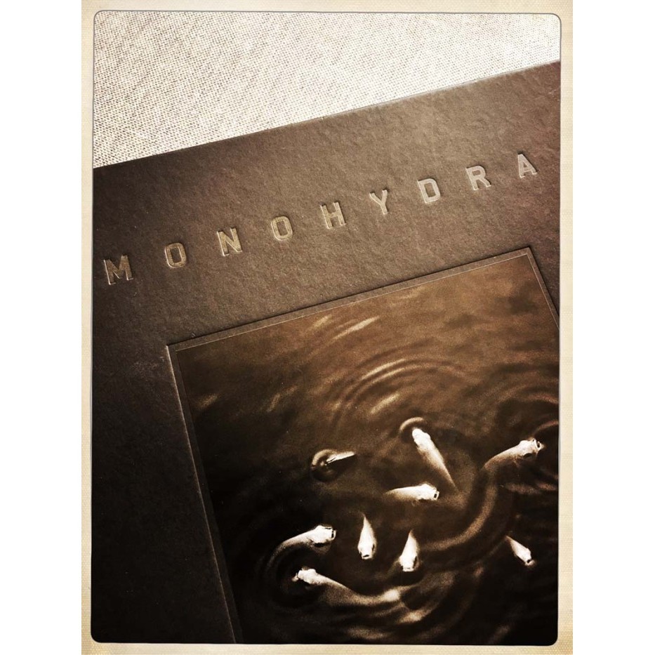 

Monohydra By Hengki Koentjoro