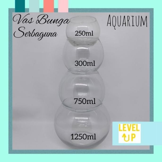 Vas Bunga Kaca Bulat/Pot Tanaman Air Hidroponik Hias/Tempat Ikan Cupan