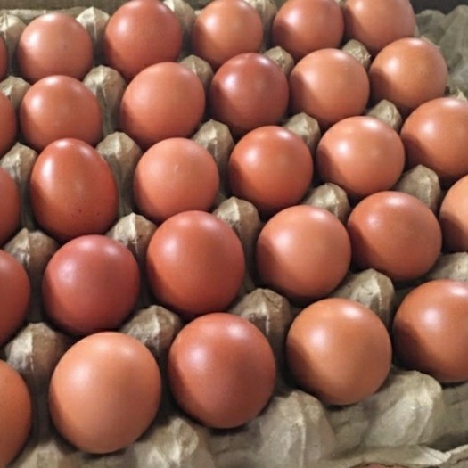 

Telur Ayam Negri Fresh 30 butir