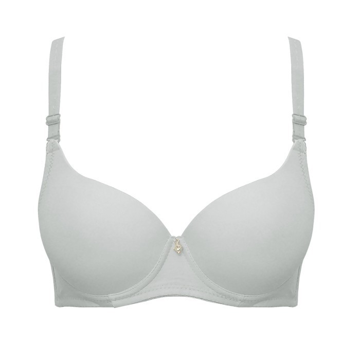 201220 Lucerne Basic Bra 3/4 Cup - GREY