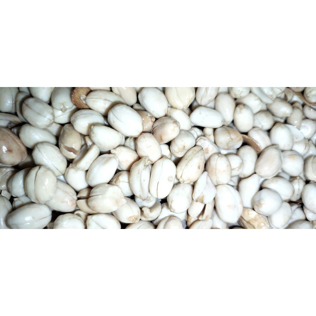 

KACANG BAWANG ASIN - pakek jasa JNT biar lebih cepat