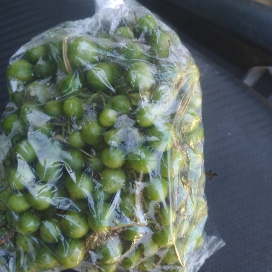 

leunca per 250gram