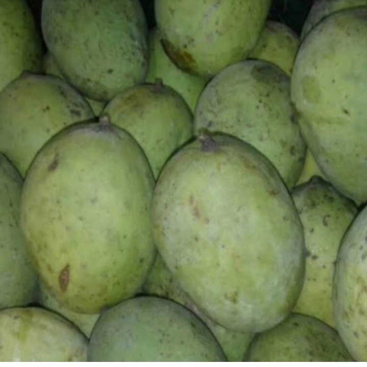 

buah mangga kweni super 1kg