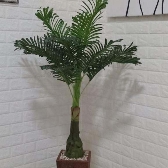Pohon Bunga Hiasan Ruang Tamu Pojokkan Besar PALEM Dekorasi Ruang Tamu HNT