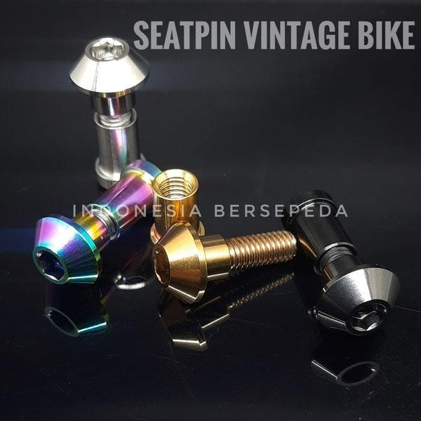 Titanium Seatpin For Vintage Bike - Seatpin Seatclamp Sepeda Vintage Jadul Federal Bridgestone