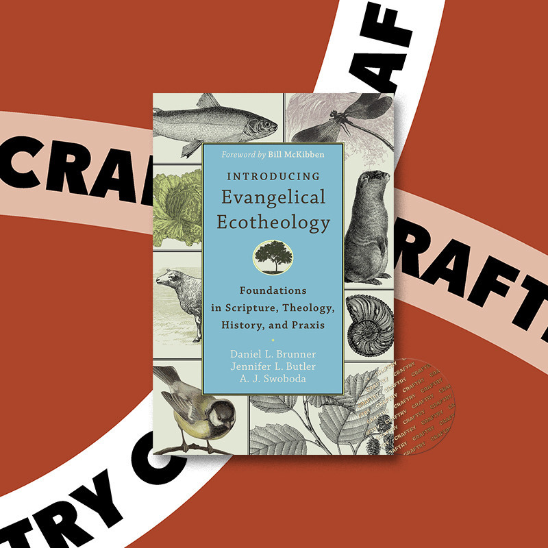 

Introducing Evangelical Ecotheology - Daniel L. Brunner