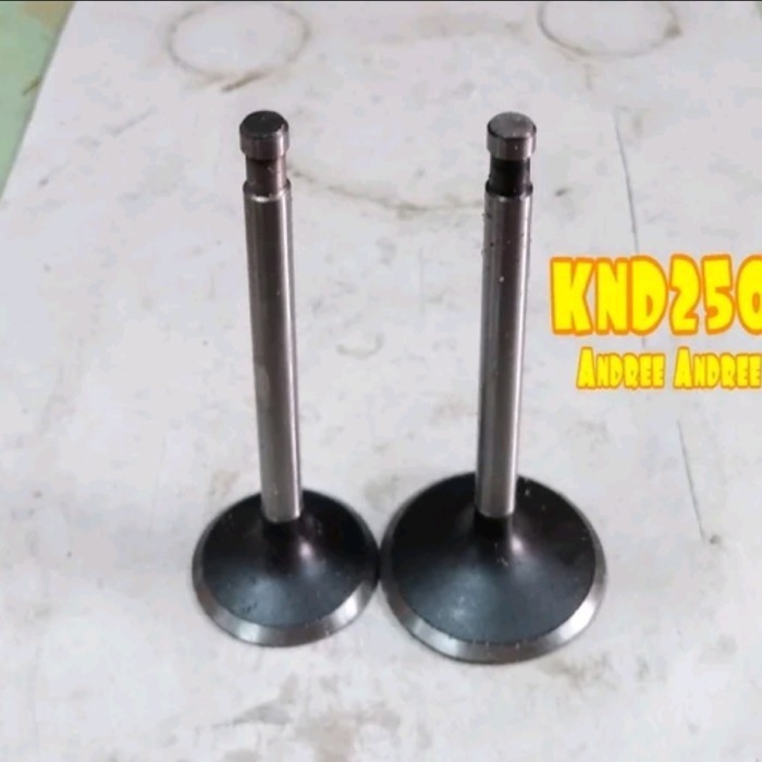 ~@~@~@~@] Valve In Ex Klep Api Minyak Kubota KND250 KND-250 ER250 ER-250 Taiwan