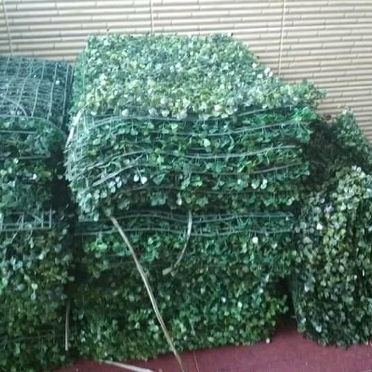 Dolar Daun Sintetis Rambat, Daun Palsu Type Plastik Untuk Hias Tembok