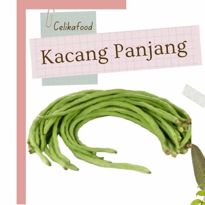 

LB935 Kacang Panjang 250 gr Bahan Sayuran Masakan Sayur Petani Makanan NEW