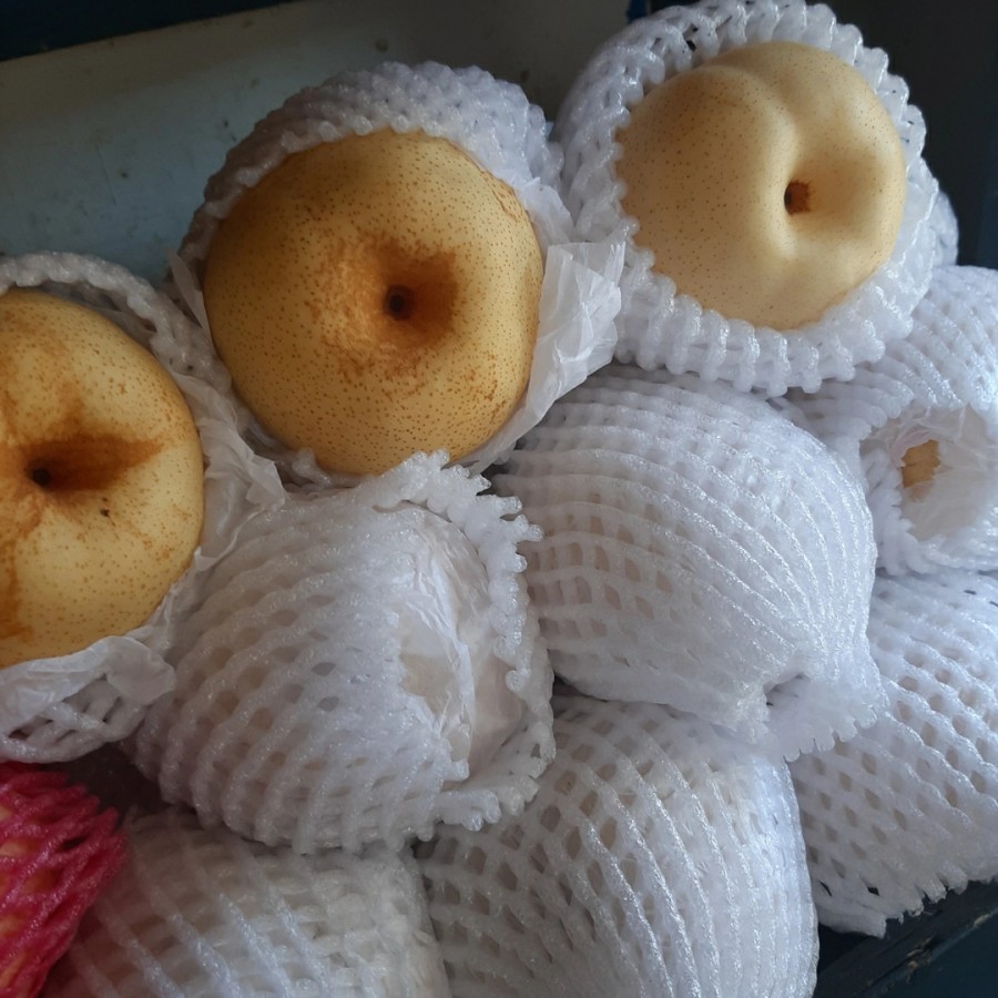 

Pear Yalie