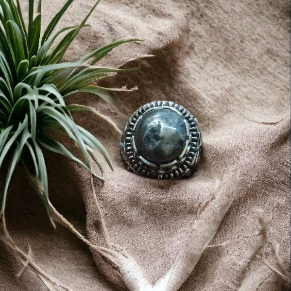 RZ Jewelry-Iron Meteorite Ring/Cincin Iron Meteorite