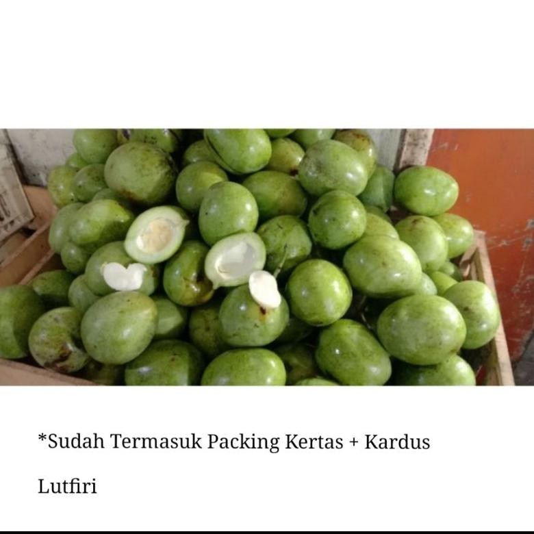

Mangga Telor Atau Telur Muda Mentah 1 Kg Belah Biji Asem Segar Fresh Rujak Manisan Asinan