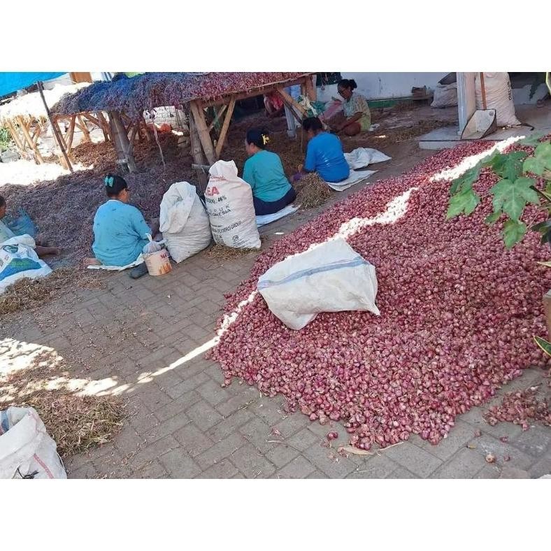 

Bawang Merah 1 Kg Asli Nganjuk|Bawang Merah Berkualitas|Pusat Pertanian