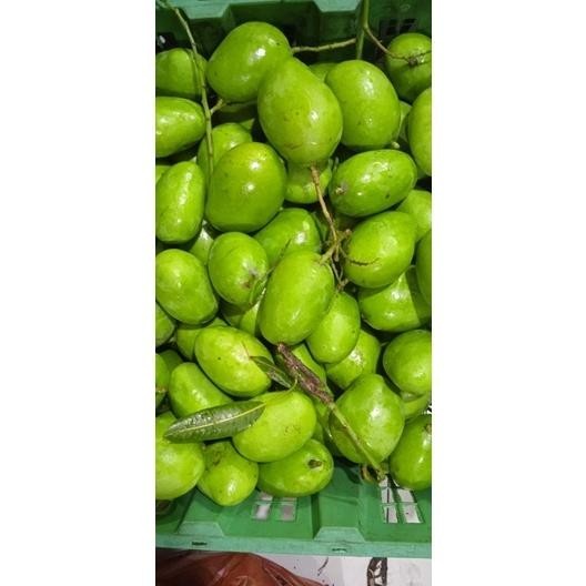 

Mangga Jamson /Mangga Belah Biji / Mangga Muda / Mangga Rujak / Mangga Mengkal / Mangga Tua / Mangga Asam / Mangga Garing