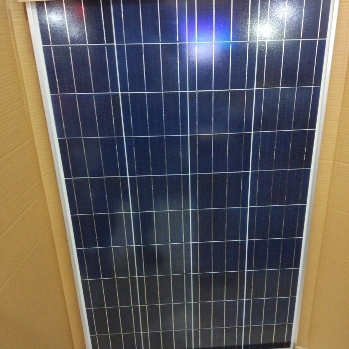 solar panel cell surya st solar stc stec module 100wp 100 wp poly 12v