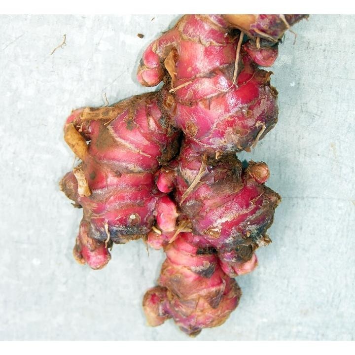 

CR - jahe merah segar / jahe merah 1kg / red ginger TERLARIS
