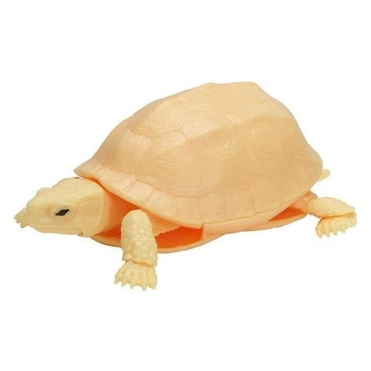 Gashapon box turtle 04 hakogame kame kura - dangomushi gacha bandai