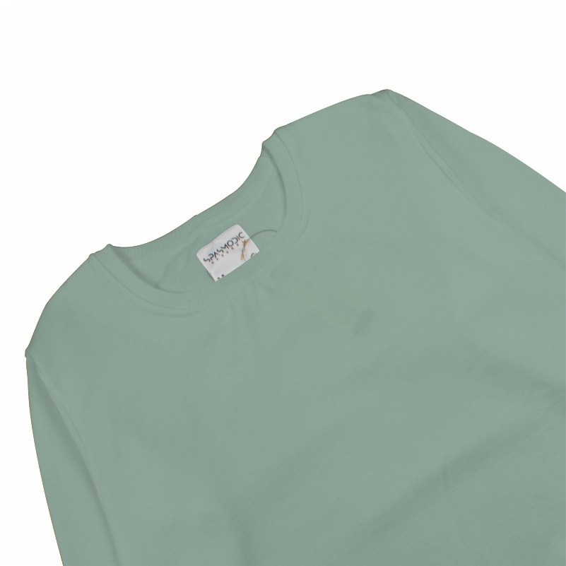 [NMDS COMPANY] PREMIUM CREWNECK Spasmodic - Sweater Crewneck Pria Wanita Basic Polos Hijau Mint