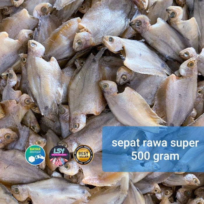 

SPECIAL ikan asin sepat rawa 500gr