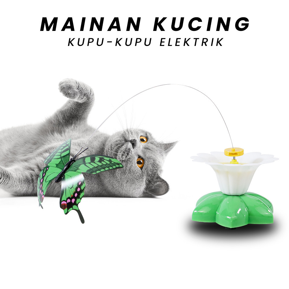 Buzper Mainan Kucing Kupu Kupu Elektrik