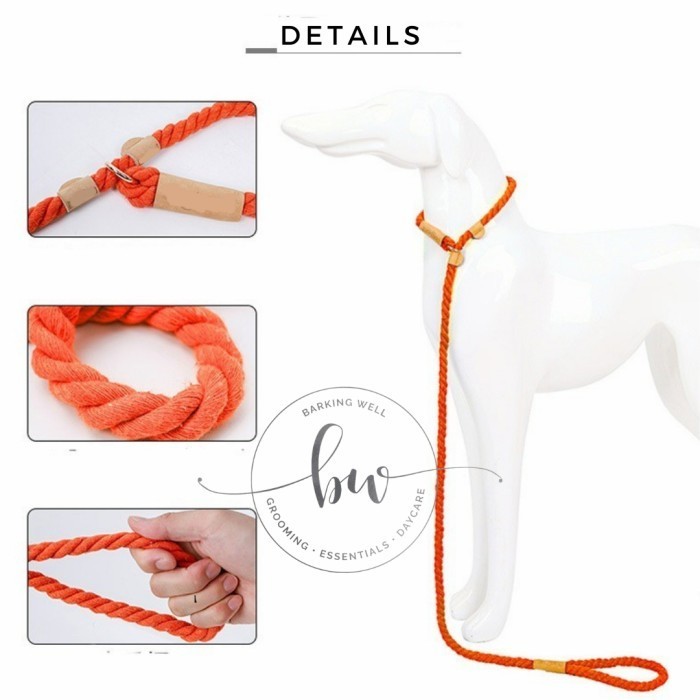 TALI TUNTUN ANJING - SLIP DOG LEASH - SLIP LEAD LEASH CESAR MILAN