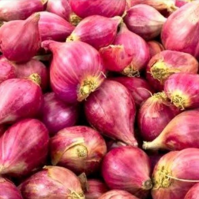 

bawang merah brebes besar pilihan