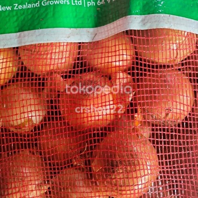 

jual bawang Bombay besar 10 kg
