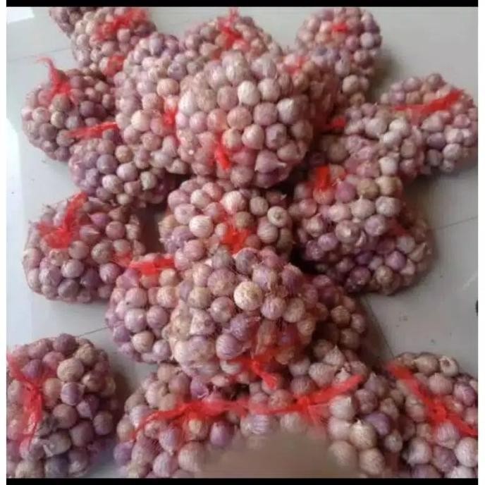 

bawang putih tunggal/lanang 500gr