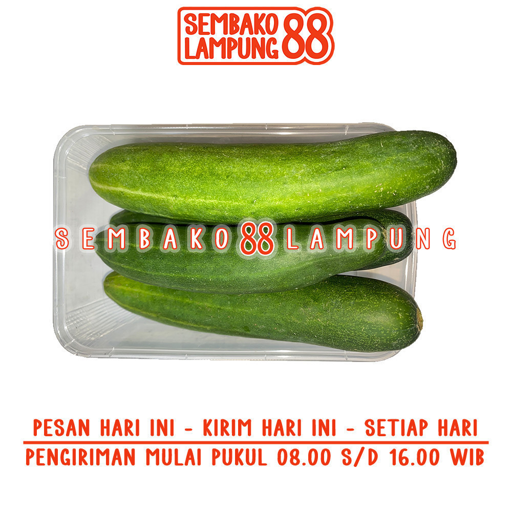 

Timun 500 Gr | Sembako Lampung 88