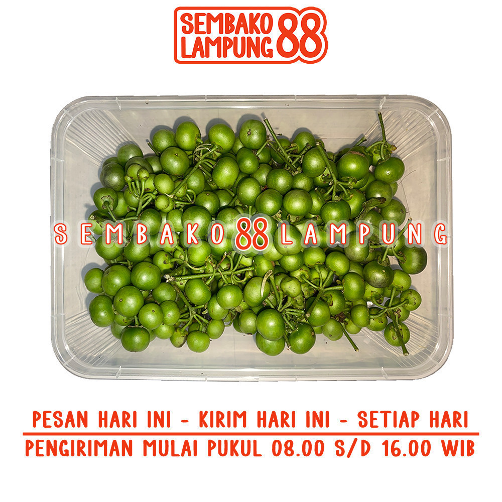 

Leunca / Lenca 250 Gr | Sembako Lampung 88