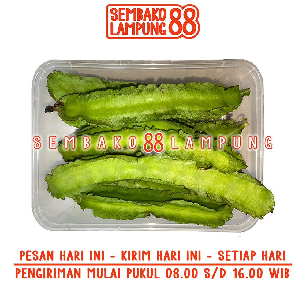 

Kecipir 1 Ikat | Sembako Lampung 88