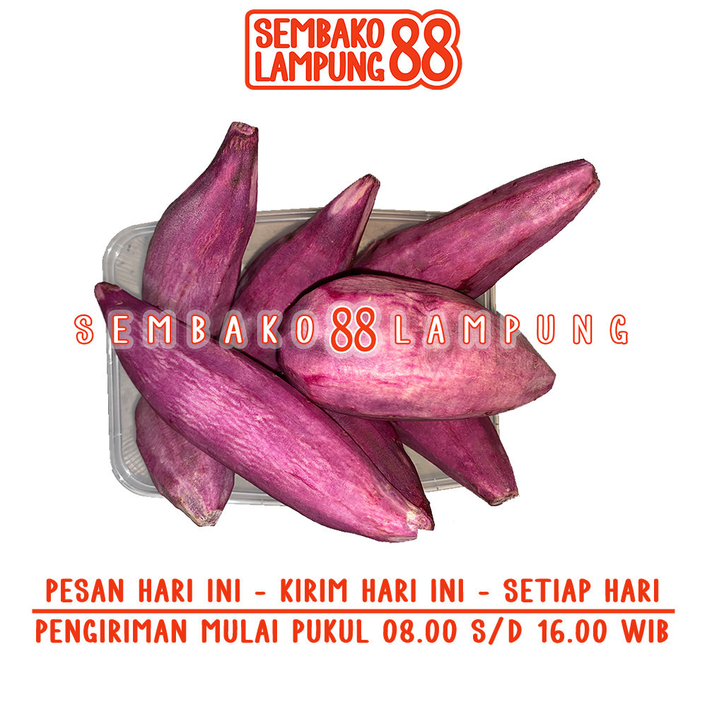 

Ubi Ungu / Mantang Ungu 1 Kg | Sembako Lampung 88