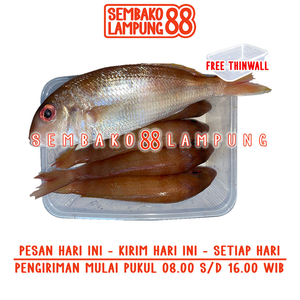 

Ikan Kurisi Segar 500 Gr | Sembako Lampung 88