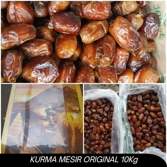 

Kualitas terbaik] Kurma Mesir Golden Valley Segar 10kg