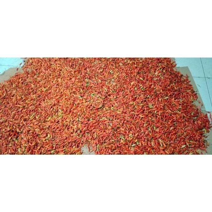 

TERMURAH Bawang Kating 250Gr + Bawang Merah Besar Sedang 250Gr Bonus Cabe 150 BAGUS