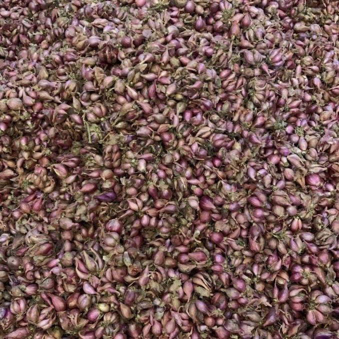 

TERMURAH Bawang Merah Kecil ( 1 Kg ) Asli Nganjuk - Shuffel BAGUS