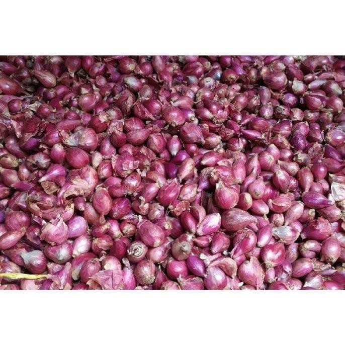 

BERKUALITAS Bawang Merah Besar 500 Gr Berkwalitas Super - Shuffel MURAH