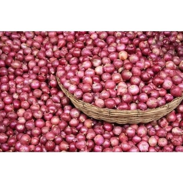 

BERKUALITAS Bawang Merah Besar Sedang Super Kering ( 500Gr ) - Shuffel MURAH