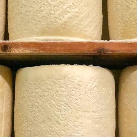 

Pecorino Romano DOP Italian Sheep milk cheese Keju Domba Italia JS