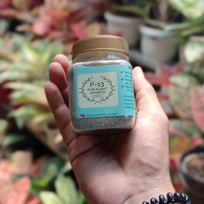 Pupuk P13 Om Justin Kemasan 200ml