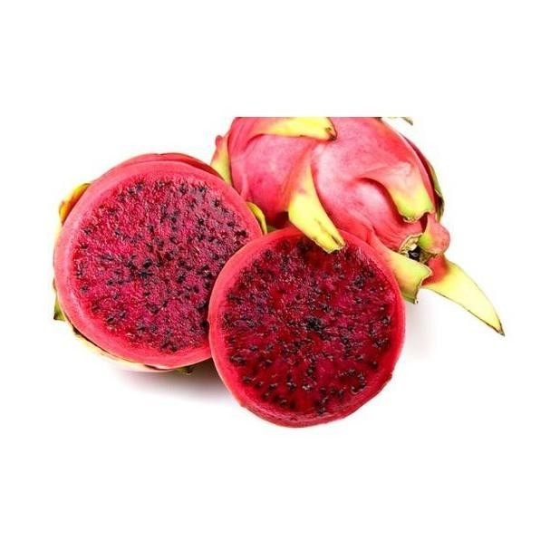 

BN FCW - Buah Naga Merah 1 KG TERLARIS