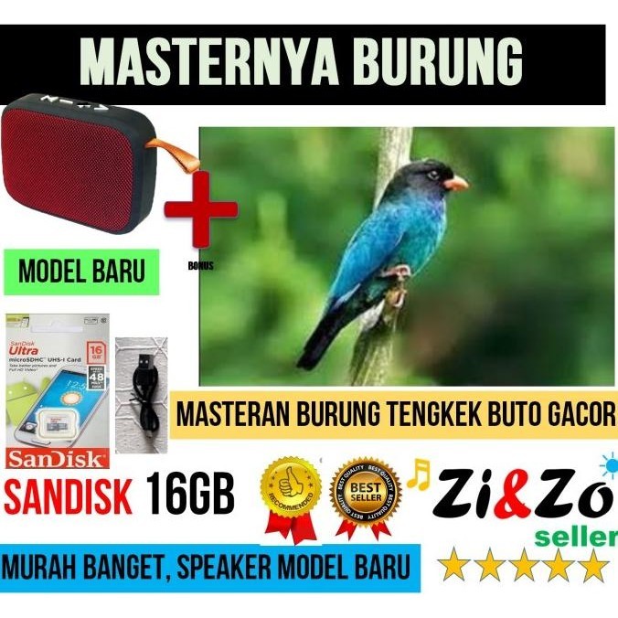 Mainan Burung / Masteran Burung Tengkek Buto Gacor Termurah