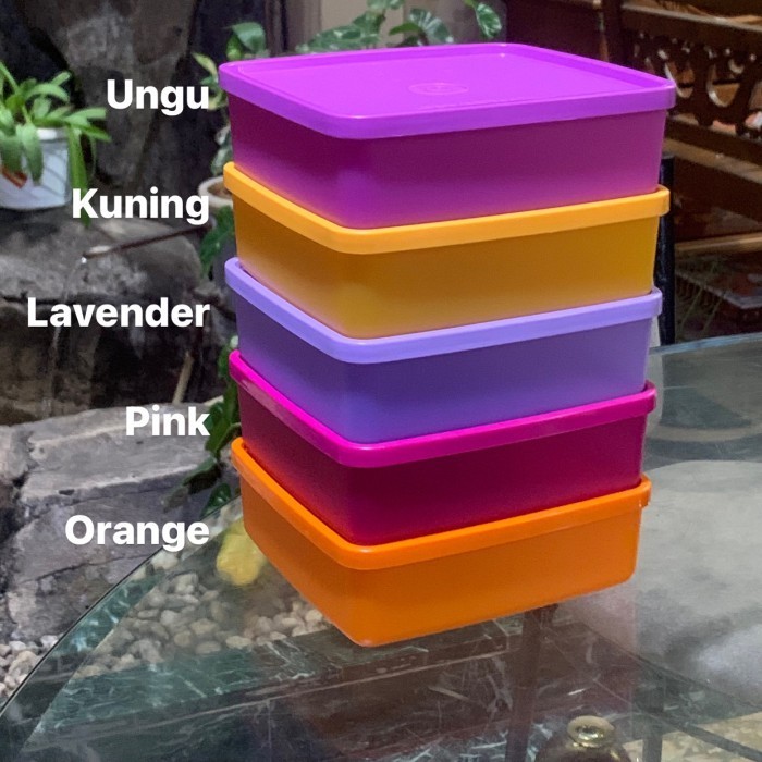 Kotak Makan Tupperware Square Away Lunch Box Tempat Bekal