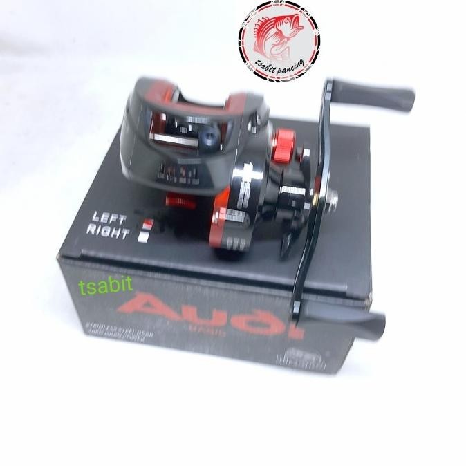 Reel Lizard Bc Audi Basic Ratio 10