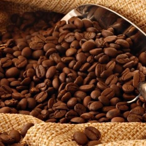 

Kopi Luwak Liar Wild Civet Coffee Biji/Bubuk Beans/Ground 200 Gr